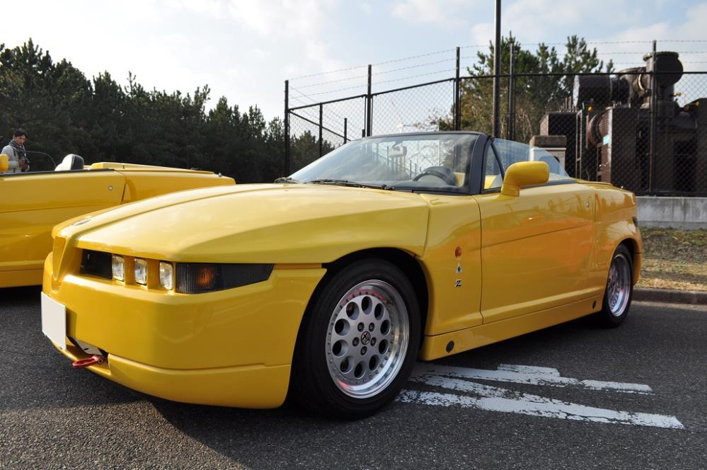 180121MAIKO (17).JPG